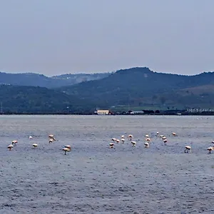 Adriatic Hostel